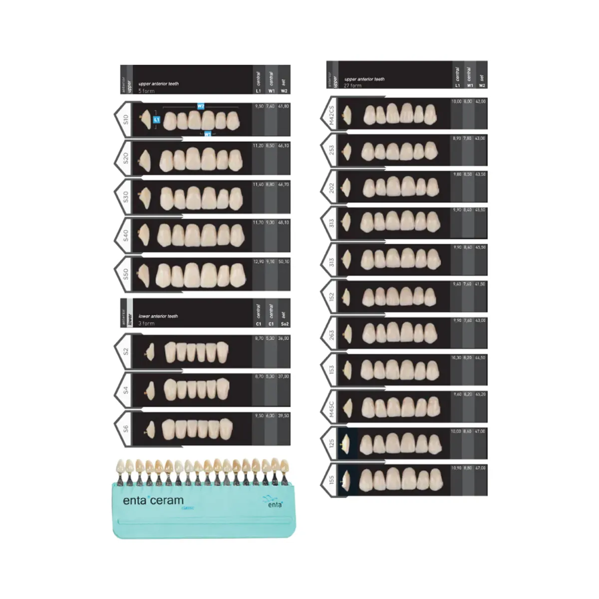 ENTA porcelain denture teeth