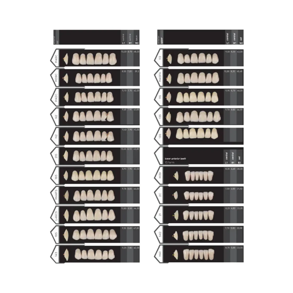 Porcelain denture teeth from Atlas Enta