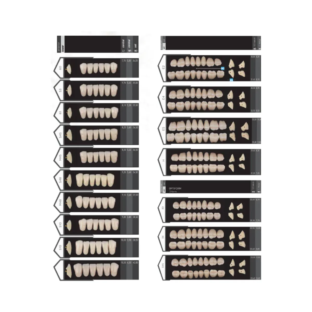 Atlas Enta porcelain denture teeth range