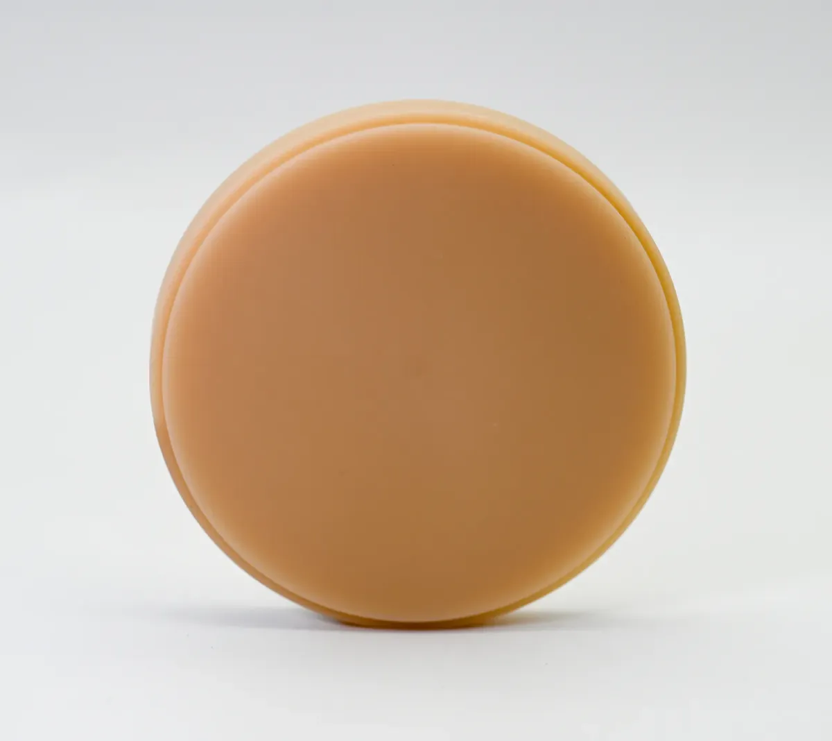 Zirdent monolayer PMMA disc